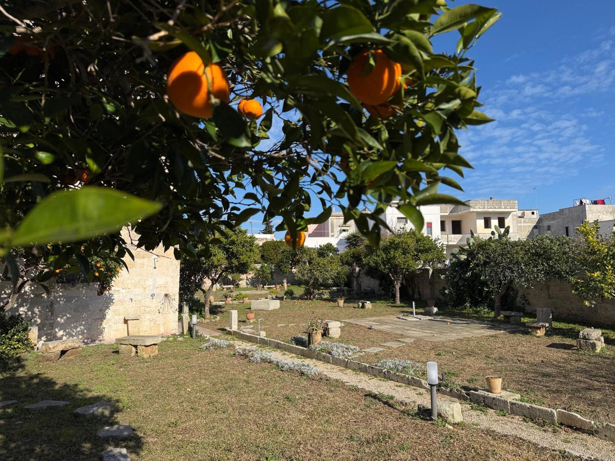 Residenza Storica Parco Lanoce Appartement Poggiardo Buitenkant foto